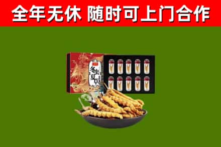 雨湖回收冬虫夏草价格