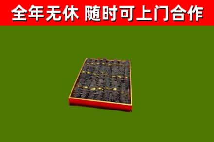 雨湖回收海参